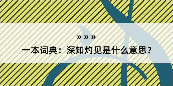 一本词典：深知灼见是什么意思？