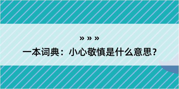 一本词典：小心敬慎是什么意思？