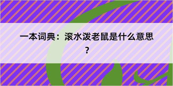 一本词典：滚水泼老鼠是什么意思？