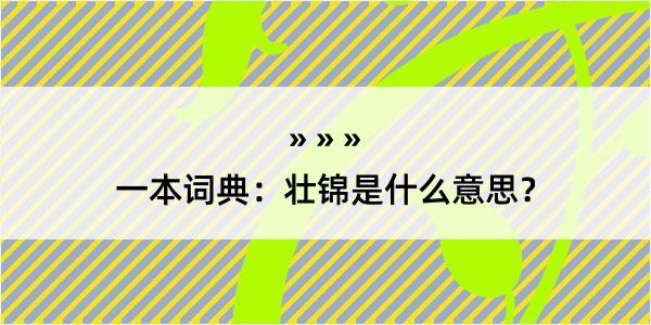 一本词典：壮锦是什么意思？