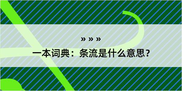 一本词典：条流是什么意思？