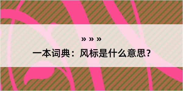 一本词典：风标是什么意思？