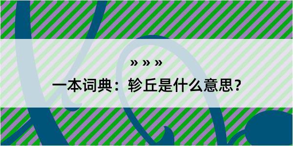 一本词典：轸丘是什么意思？