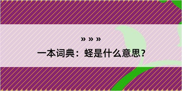 一本词典：蛏是什么意思？