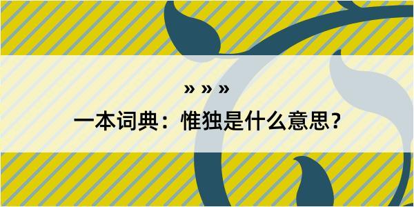 一本词典：惟独是什么意思？