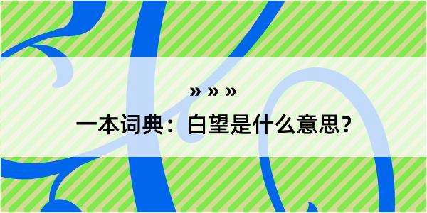 一本词典：白望是什么意思？