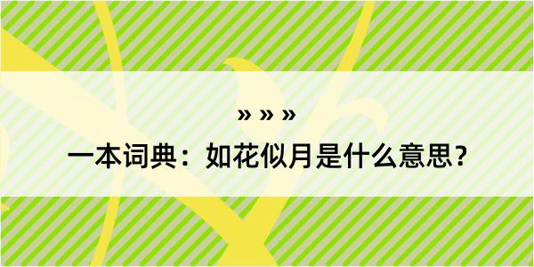 一本词典：如花似月是什么意思？