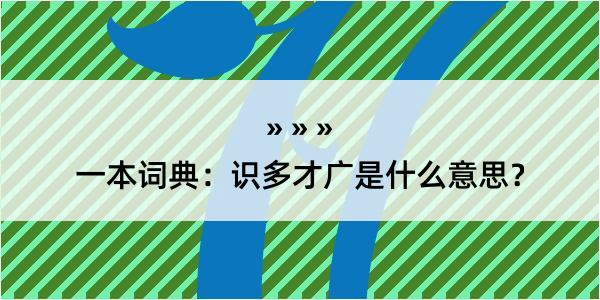 一本词典：识多才广是什么意思？