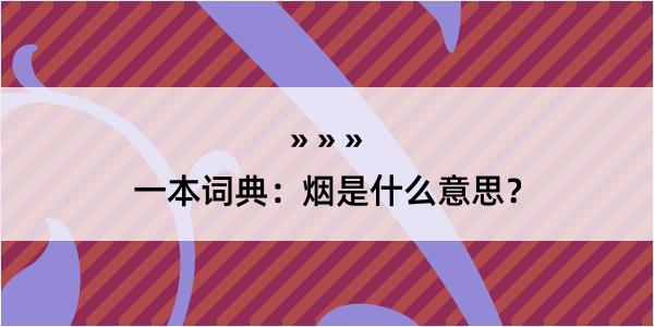 一本词典：烟是什么意思？