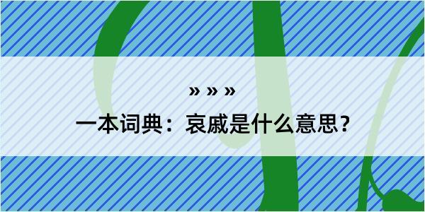 一本词典：哀戚是什么意思？