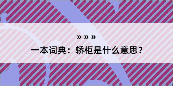 一本词典：轿柜是什么意思？