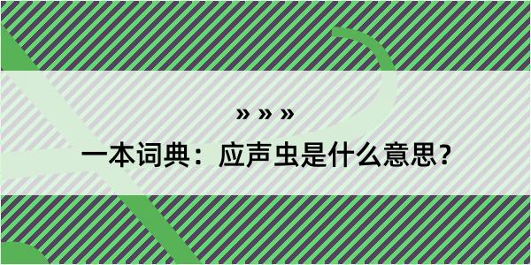 一本词典：应声虫是什么意思？