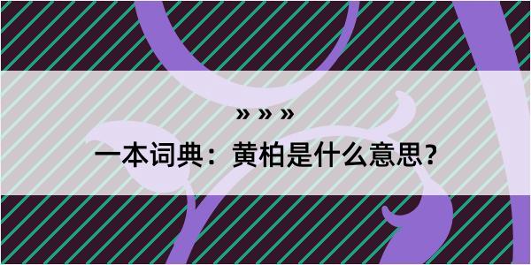 一本词典：黄柏是什么意思？