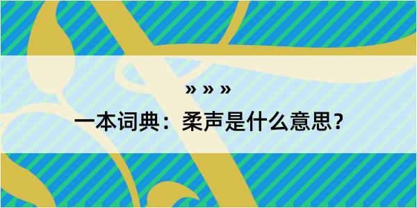 一本词典：柔声是什么意思？