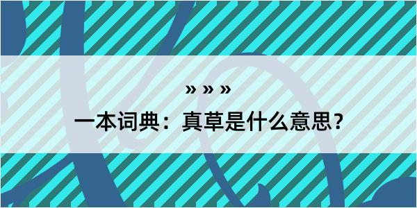 一本词典：真草是什么意思？