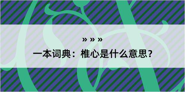 一本词典：椎心是什么意思？