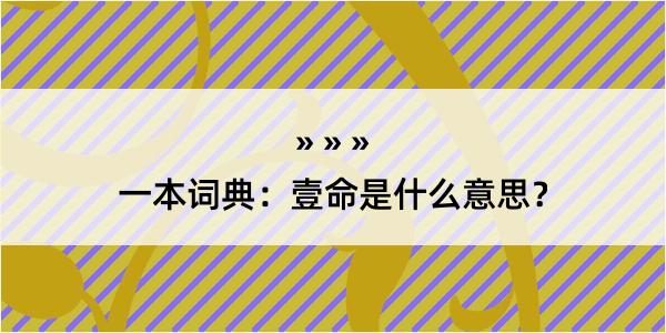 一本词典：壹命是什么意思？