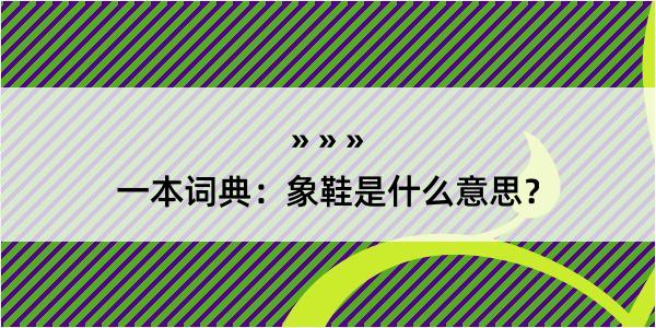 一本词典：象鞋是什么意思？