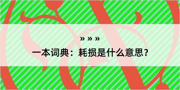 一本词典：耗损是什么意思？