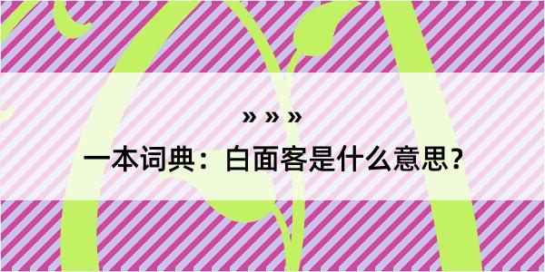 一本词典：白面客是什么意思？