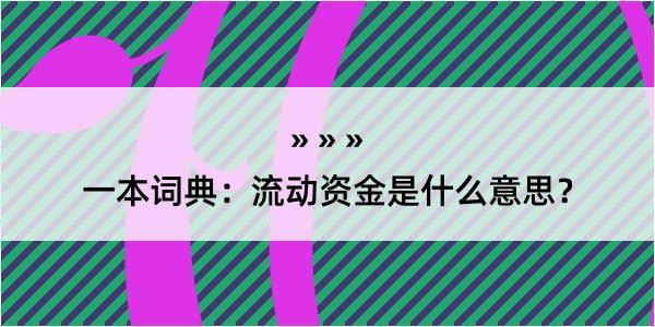 一本词典：流动资金是什么意思？