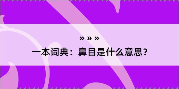 一本词典：鼻目是什么意思？