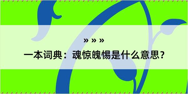 一本词典：魂惊魄惕是什么意思？