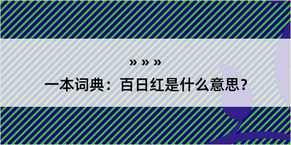 一本词典：百日红是什么意思？