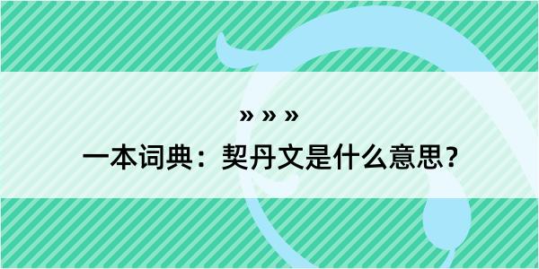 一本词典：契丹文是什么意思？