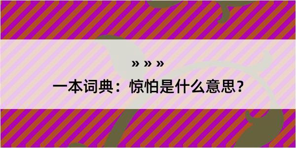 一本词典：惊怕是什么意思？