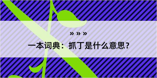 一本词典：抓丁是什么意思？