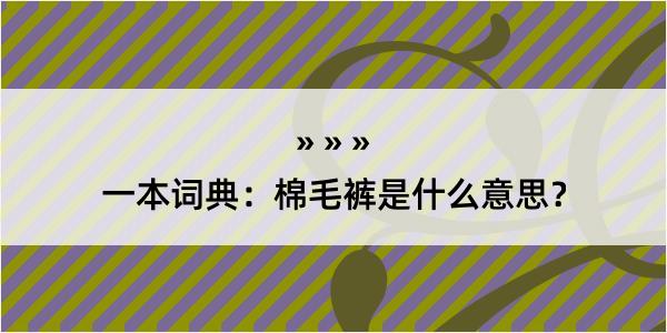 一本词典：棉毛裤是什么意思？