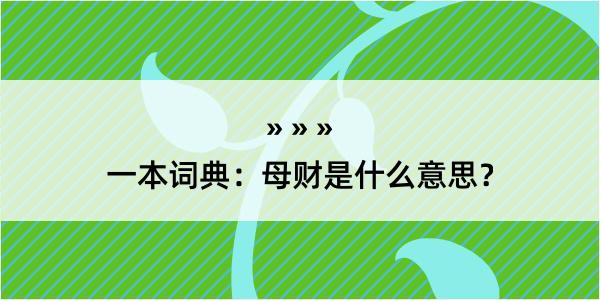 一本词典：母财是什么意思？