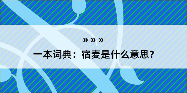 一本词典：宿麦是什么意思？