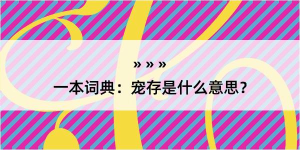 一本词典：宠存是什么意思？