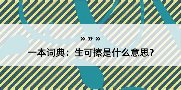 一本词典：生可擦是什么意思？