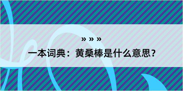 一本词典：黄桑棒是什么意思？