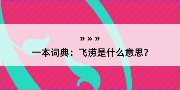 一本词典：飞涝是什么意思？