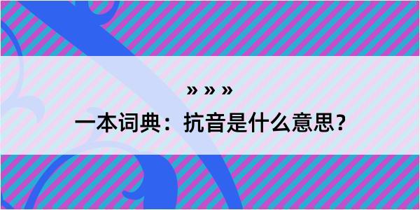 一本词典：抗音是什么意思？