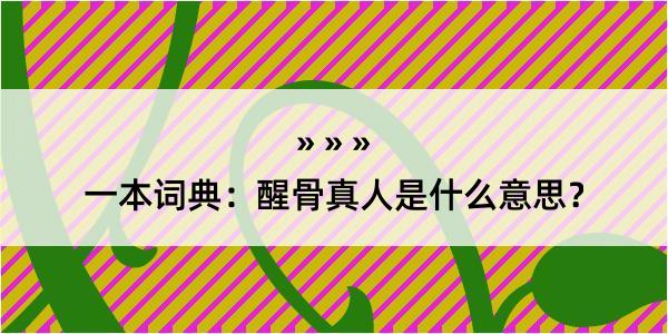 一本词典：醒骨真人是什么意思？