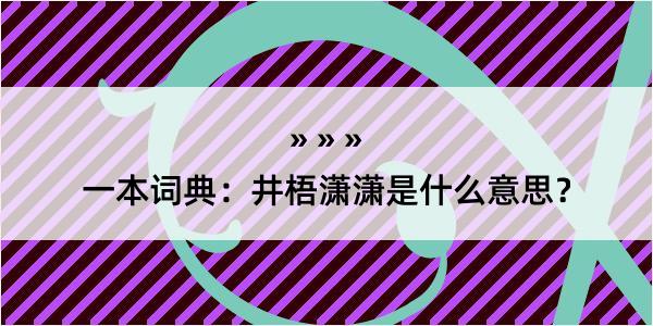 一本词典：井梧潇潇是什么意思？