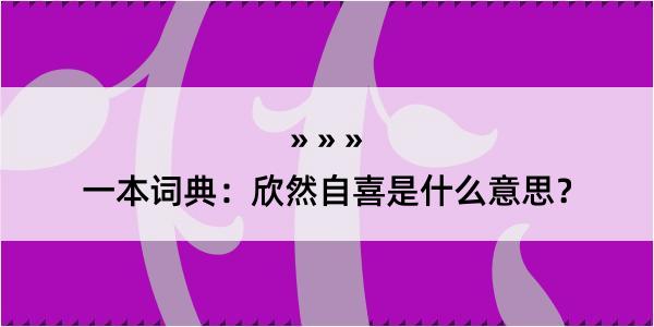 一本词典：欣然自喜是什么意思？