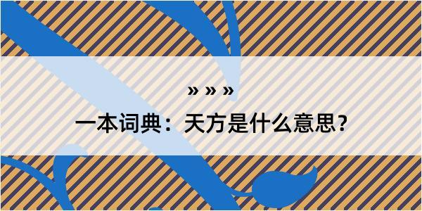 一本词典：天方是什么意思？