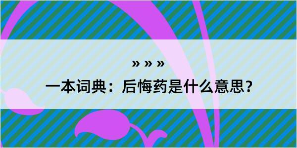 一本词典：后悔药是什么意思？