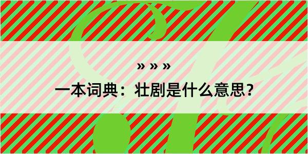 一本词典：壮剧是什么意思？