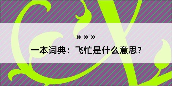 一本词典：飞忙是什么意思？