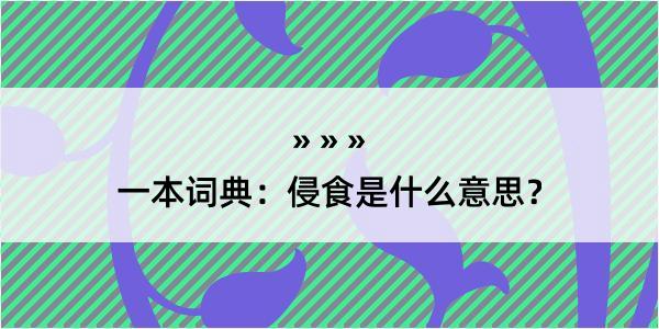 一本词典：侵食是什么意思？