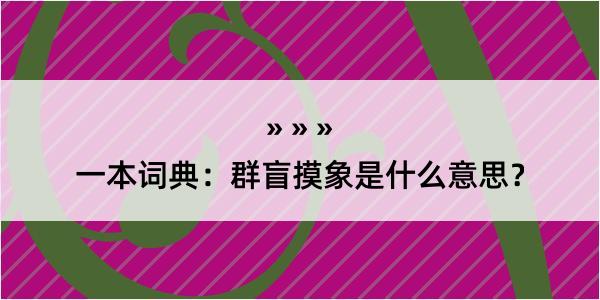 一本词典：群盲摸象是什么意思？