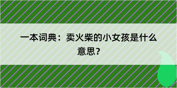 一本词典：卖火柴的小女孩是什么意思？