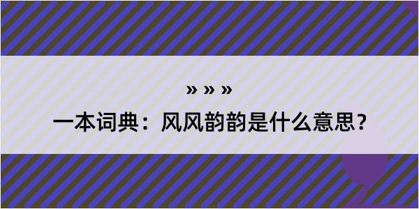 一本词典：风风韵韵是什么意思？